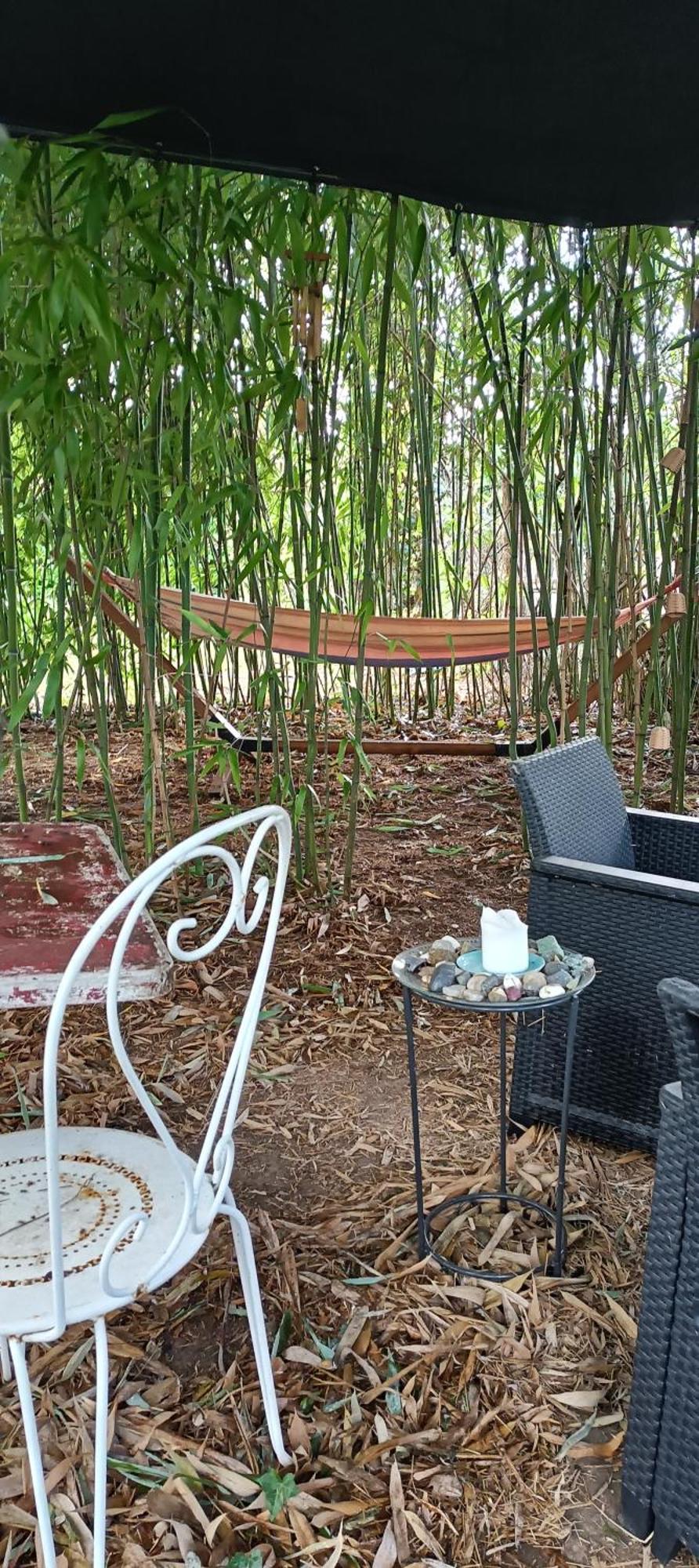 Chambre D'Hote Dans Maison Atypique Possibilite 1 Lit Supplementaire Pour 15 Euros Sancoins Bagian luar foto